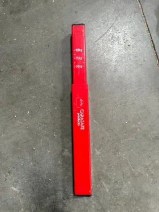 Lanza peso para caravana CARASAFE