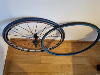 Rueda Mavic con cubierta Michelin