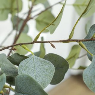 Planta Eucalipto Artificial Decorativa 120cm