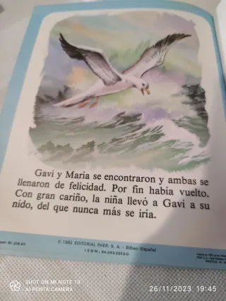 Libro infantil Gavi, la gaviota
