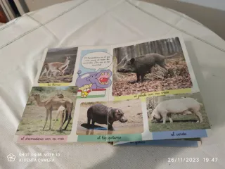 Libro infantil Mi Gran Libro de Animales