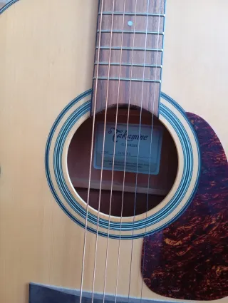 Guitarra Acústica Takamine GN10 NS