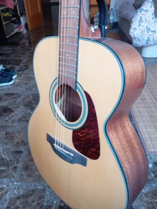 Guitarra Acústica Takamine GN10 NS