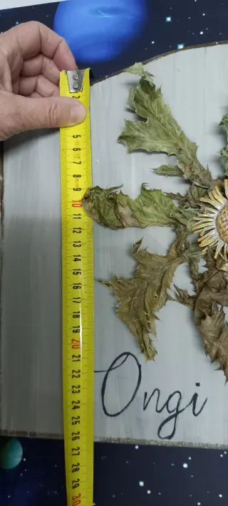 Eguzkilore artesanal sobre madera