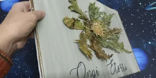 Eguzkilore artesanal sobre madera