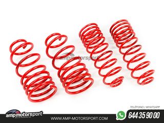 MUELLES DEPORTIVOS MTS TECHNIK MTSXPO001