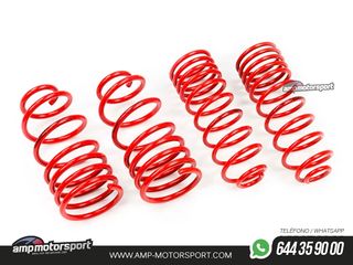 MUELLES DEPORTIVOS MTS TECHNIK MTSXNI027