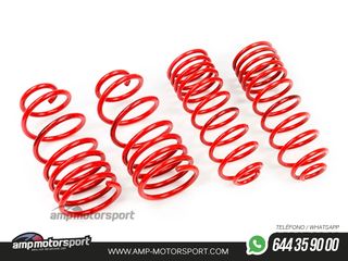 MUELLES DEPORTIVOS MTS TECHNIK MTSXAL038