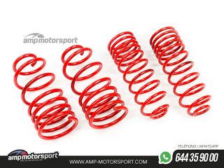 MUELLES DEPORTIVOS MTS TECHNIK MTSXAU300