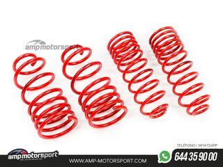 MUELLES DEPORTIVOS MTS TECHNIK MTSXOP216