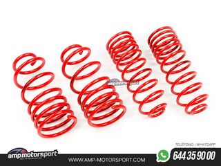 MUELLES DEPORTIVOS MTS TECHNIK MTSXHO024