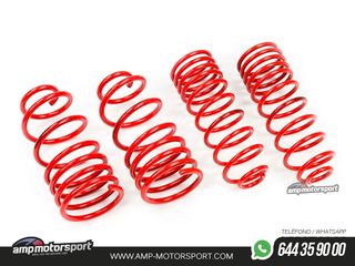 MUELLES DEPORTIVOS MTS TECHNIK MTSXPE091