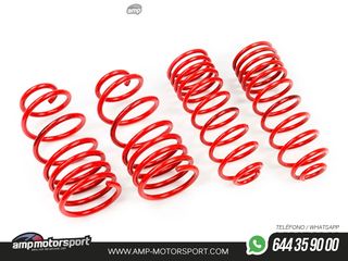 MUELLES DEPORTIVOS MTS TECHNIK MTSXRE139