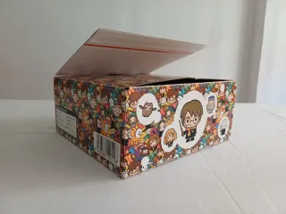 Caja Cartón Harry Potter