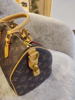Borsa Louis Vuitton Marrone e Oro