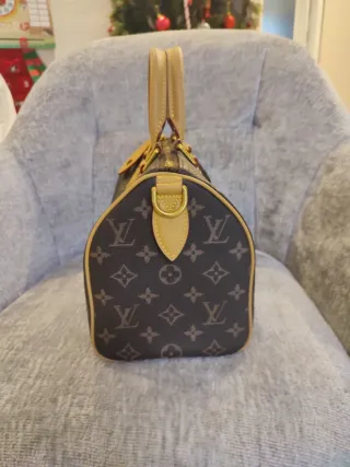 Borsa Louis Vuitton Marrone e Oro