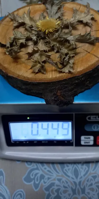 Eguzkilore artesanal sobre rodaja de árbol