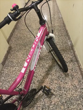 Bicicleta de montaña rosa