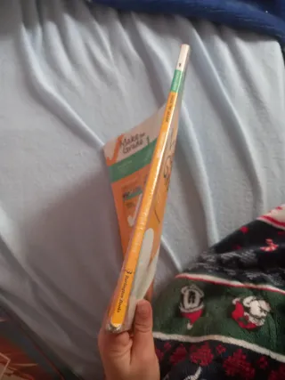 Bachillerato 1 Workbook Make the Grade