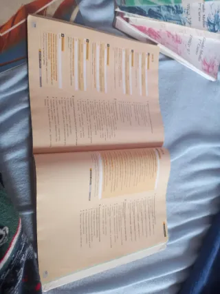 Bachillerato 1 Workbook Make the Grade