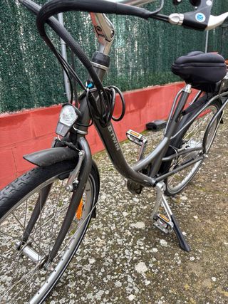 Bicicleta Eléctrica Gris