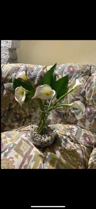 Vaso con calle finte e sassi