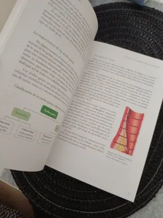 LO SALUDABLE DE LOS ALIMENTOS