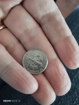 Moneta con profilo uomo