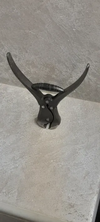 Tronchese Tenaglia Pastorino