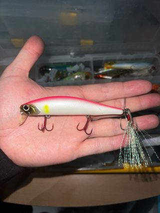 Evergreen Wake Magic