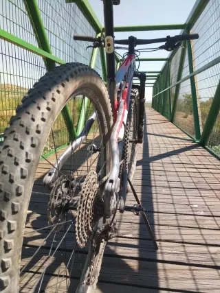 MTB Ridley Sablo Carbono 29