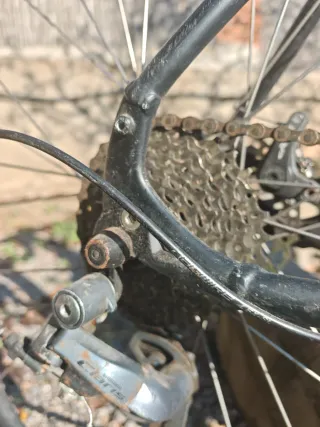 Bicicleta Specialized T54 Carretera/Gravel