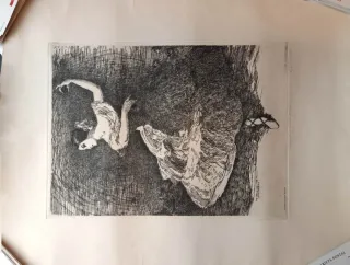 Lote 2 Grabados Hohenleiter