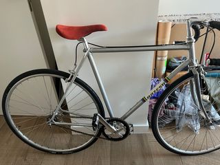 Bicicleta Razesa Single Speed Custom