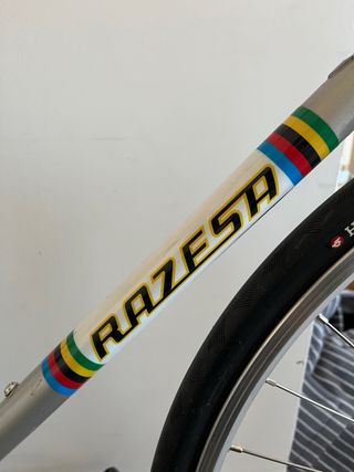 Bicicleta Razesa Single Speed Custom
