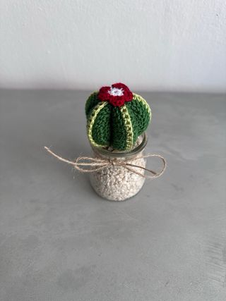 Cactus Crochet Hecho a Mano