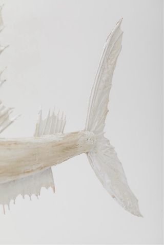 Escultura Madera Pez sostenible pieza única.