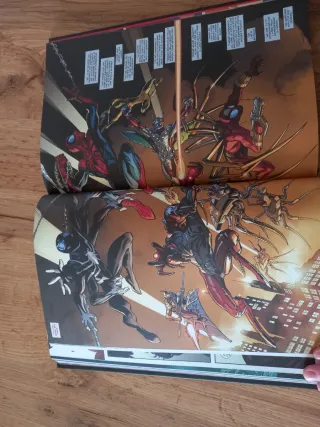 Noi siamo gli spider man