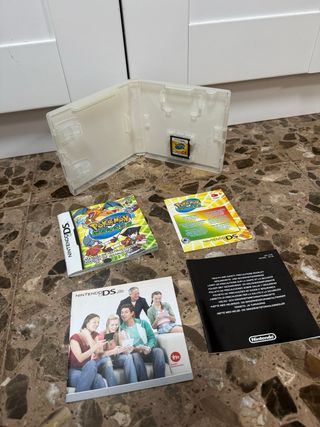 Pokemon Ranger per Nintendo DS