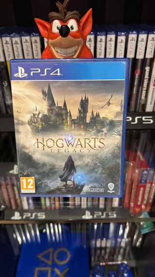 Hogwarts Legacy PS4 (PlayStation 4)