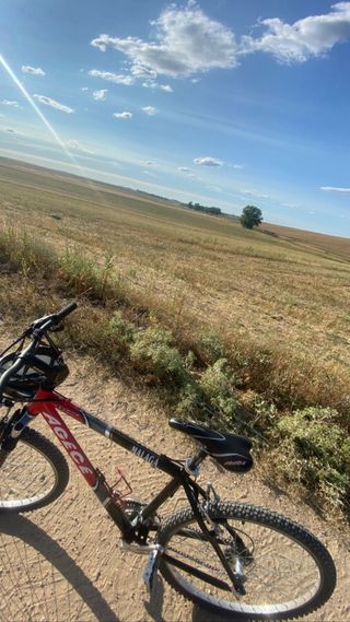 Bicicleta para adulto