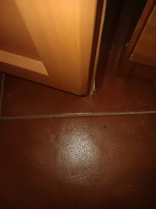 Vitrina de madera y cristal