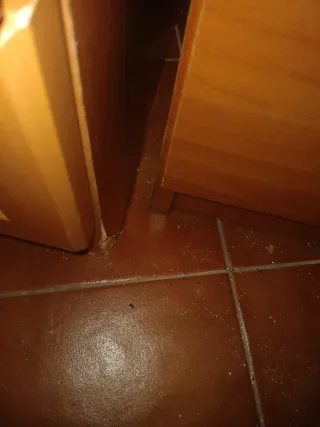 Vitrina de madera y cristal