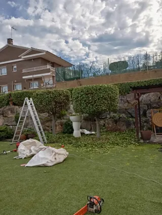 Limpieza en general de jardines