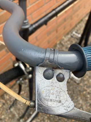 Bicicleta adulto BH retro.