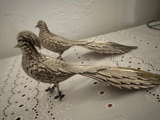 Pareja de Faisanes Plateados
