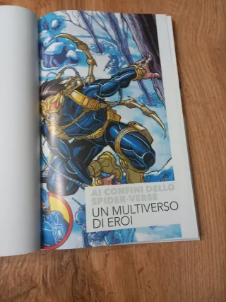 Ai confini dello spider verse