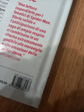 Ai confini dello spider verse