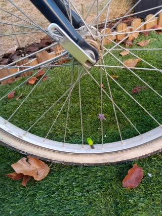 Bicicleta B'Twin 24 Decathlon