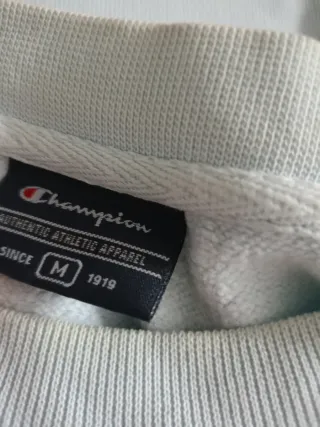 Lote Ropa Champion, Hollister, Nike